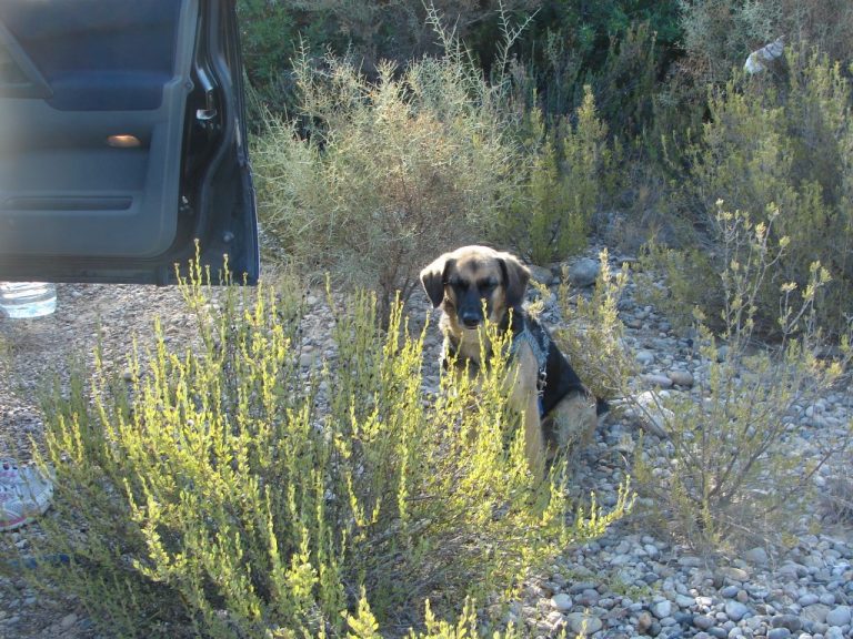 Vom Wildcampen und Wassermelonen