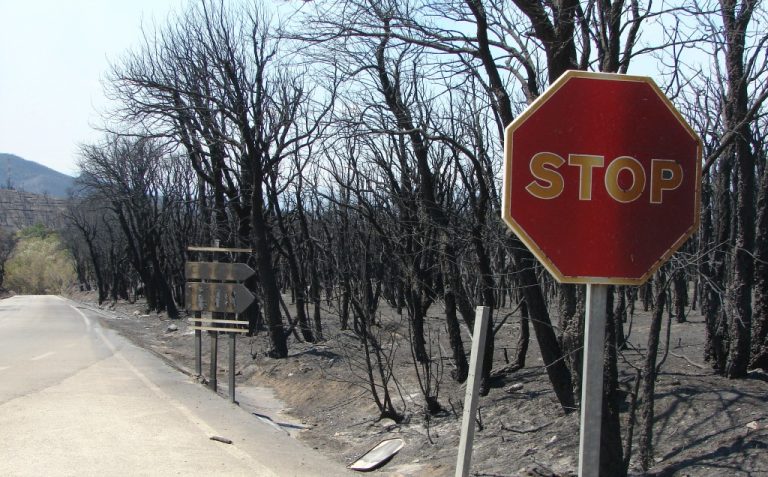 Oft unterschätzt: Die Waldbrandgefahr in Spanien