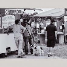 Tierische Erlebnisse - Hunde in Spanien