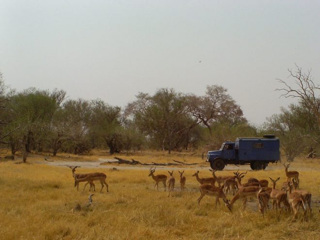 moremi-nationalpark-botswana