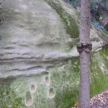 Bouldern in Katalonien: Savasonna!