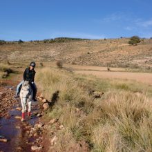 Auf vier Hufen durch die Sierra de Albarracín