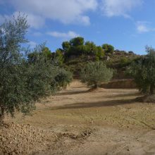 Bouldergebiet in Katalonien: El Cogul!