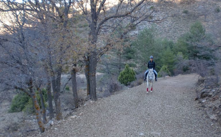 Auf vier Hufen durch die Sierra de Albarracín