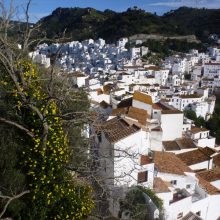 Unsere Reise durch Andalusien in Bildern