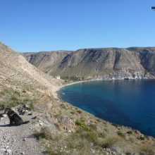 Unsere Reise durch Andalusien in Bildern
