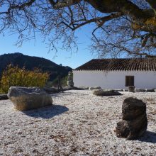 Unsere Reise durch Andalusien in Bildern