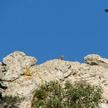 Unsere Reise durch Andalusien in Bildern