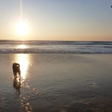 Unsere Reise durch Andalusien in Bildern