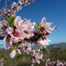 Unsere Reise durch Andalusien in Bildern