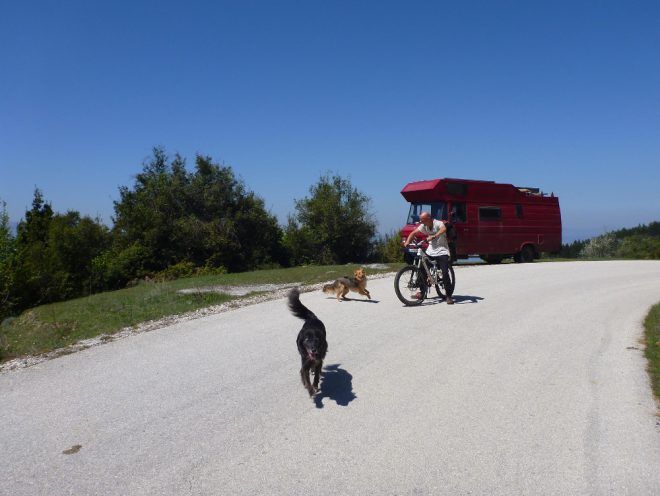 Luna läuft nur noch ein paar Meter neben dem Bike her