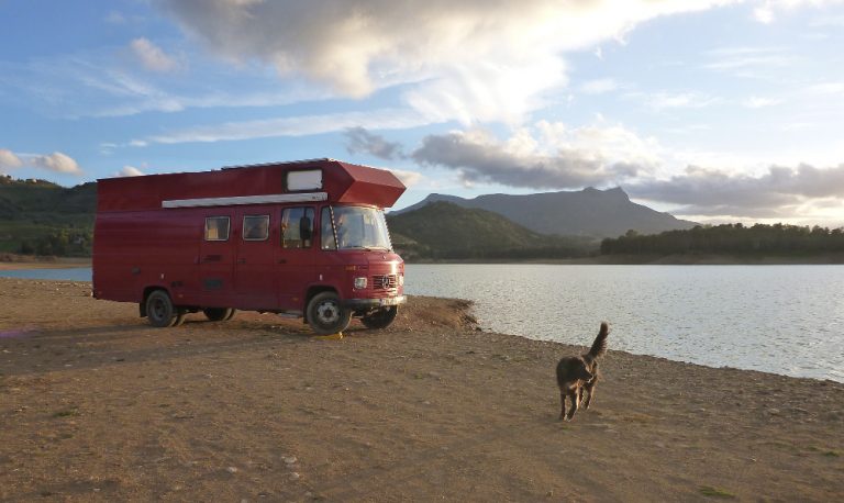 Mit Hunden im Wohnmobil leben