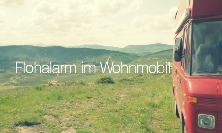 Oh nein, Flöhe an Bord!