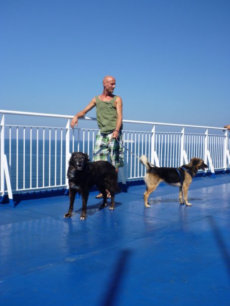 Ein ungewohnter Anblick, die Hunde auf 'nem Schiff