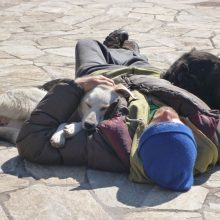 Ein Alptraum mit Happy End - Feli im Glück