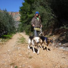 Ein Alptraum mit Happy End - Feli im Glück