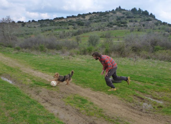 fussballspielen mit hund