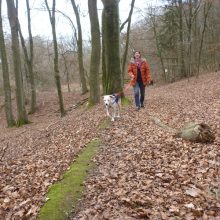 Ein Alptraum mit Happy End - Feli im Glück