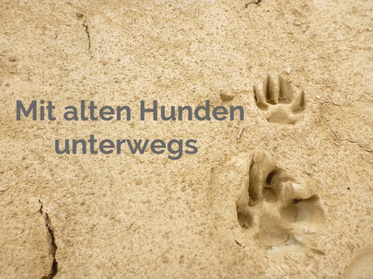 Mit altem Hund auf Reisen, Teil 1