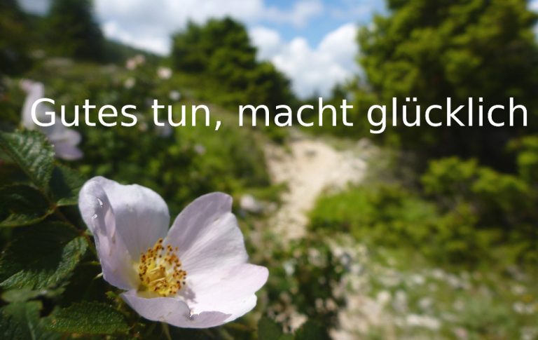 Was kann ich dir Gutes tun?