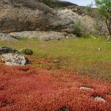 Unsere Highlights aus der Extremadura