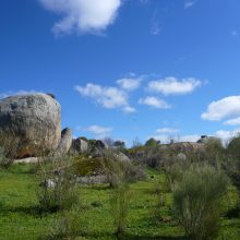 Unsere Highlights aus der Extremadura