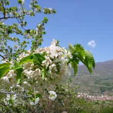 Unsere Highlights aus der Extremadura