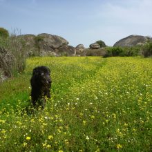 Unsere Highlights aus der Extremadura