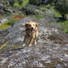 Unsere Highlights aus der Extremadura