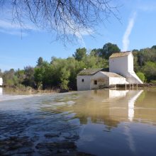 Von Andalusien in die Extremadura - unsere Highlights