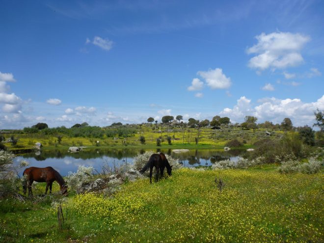 Unsere Highlights aus der Extremadura