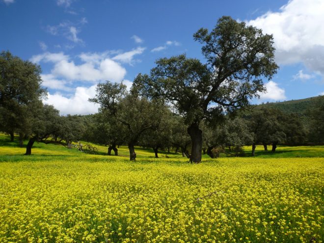 7 gute Gründe, Spanien zu lieben