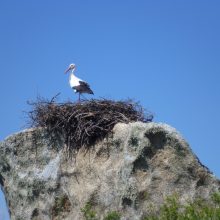 Unsere Highlights aus der Extremadura