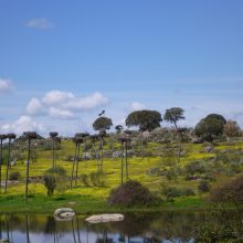 Unsere Highlights aus der Extremadura