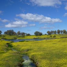 Unsere Highlights aus der Extremadura