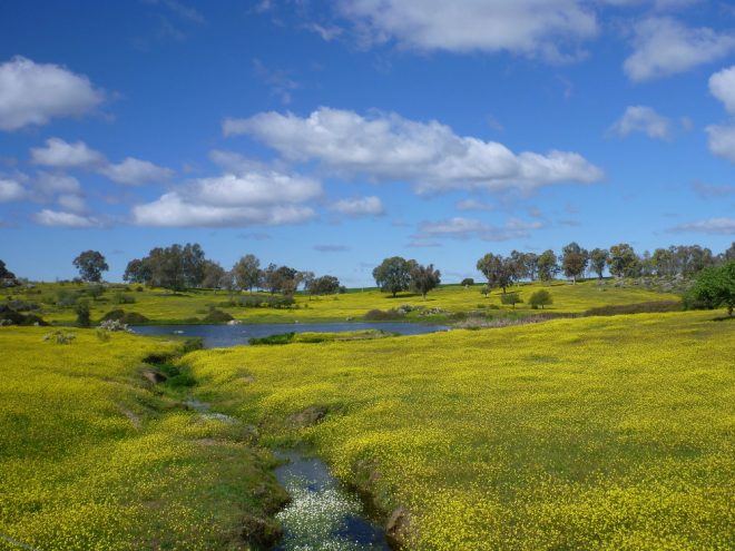 Unsere Highlights aus der Extremadura