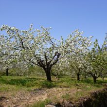 Unsere Highlights aus der Extremadura