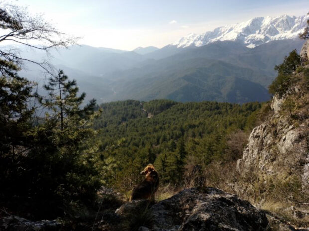 Reisen durch Nordgriechenland: Wandern, klettern und mehr