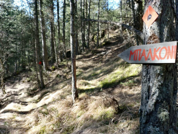 Reisen durch Nordgriechenland: Wandern, klettern und mehr